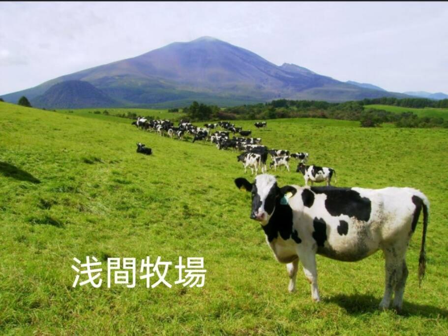 おもちゃ王国と北軽井沢の大自然を満喫できる貸別荘 คารุอิซาว่า ภายนอก รูปภาพ